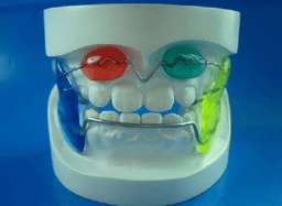 Myofunctional Treatment - Thumbnail 3